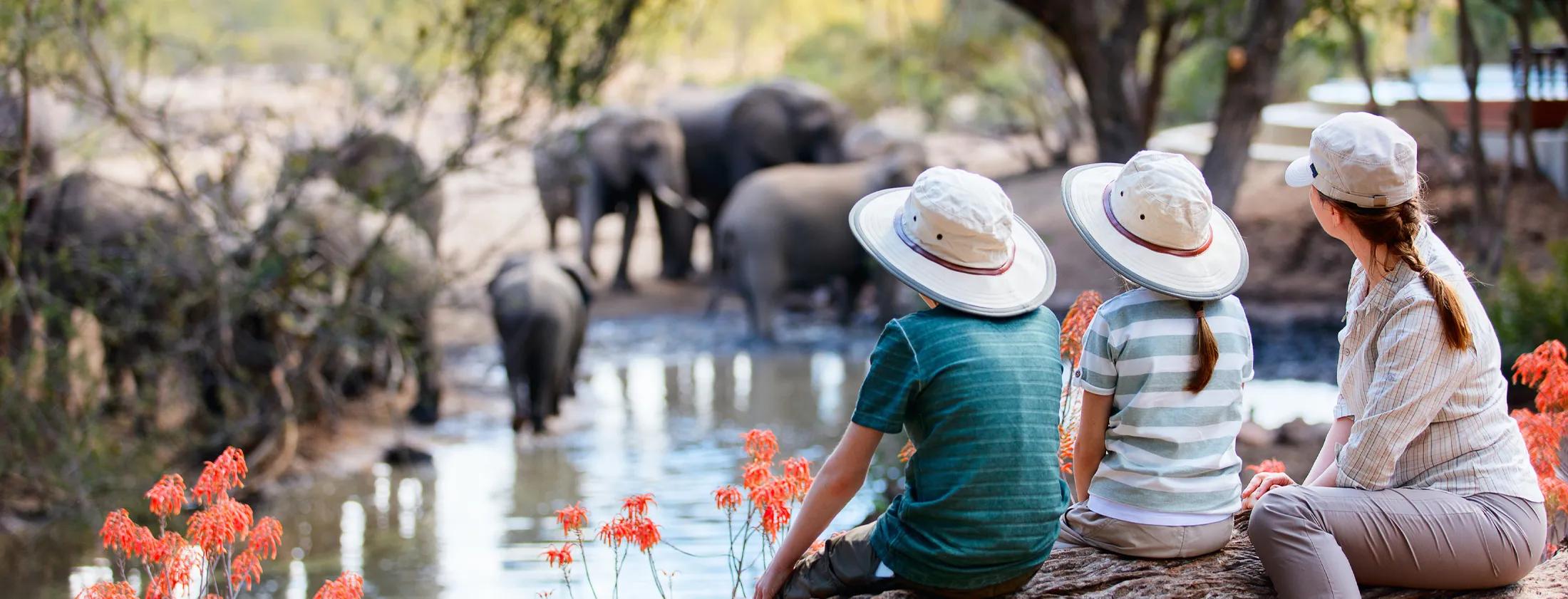 Global tourism soars with 1.1 billion international arrivals in first nine months of 2025, UN Tourism reports
